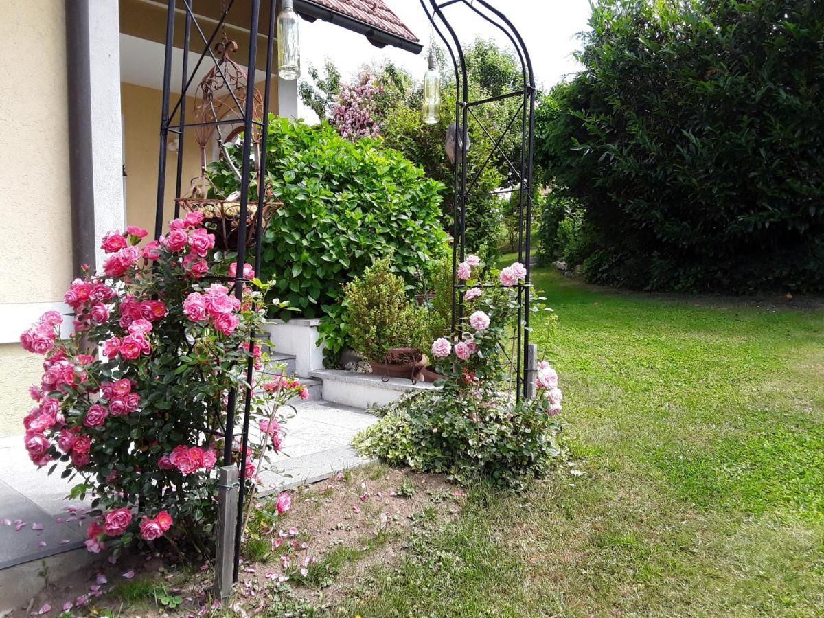 Anna'S Home - Ferienwohnungen Ratsch an der Weinstraße エクステリア 写真